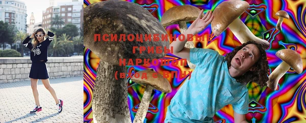 соль курить ск Новодвинск