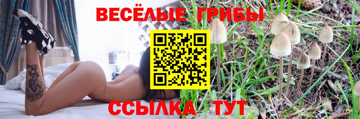 Галлюциногенные грибы GOLDEN TEACHER  закладка  Миасс 